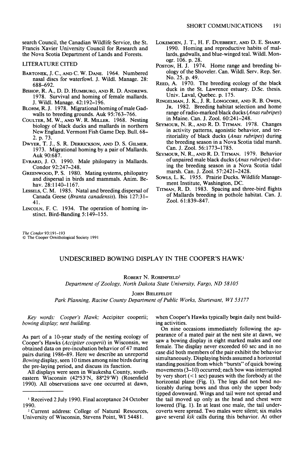 Undescribed Bowing Display in the Cooper's Hawk