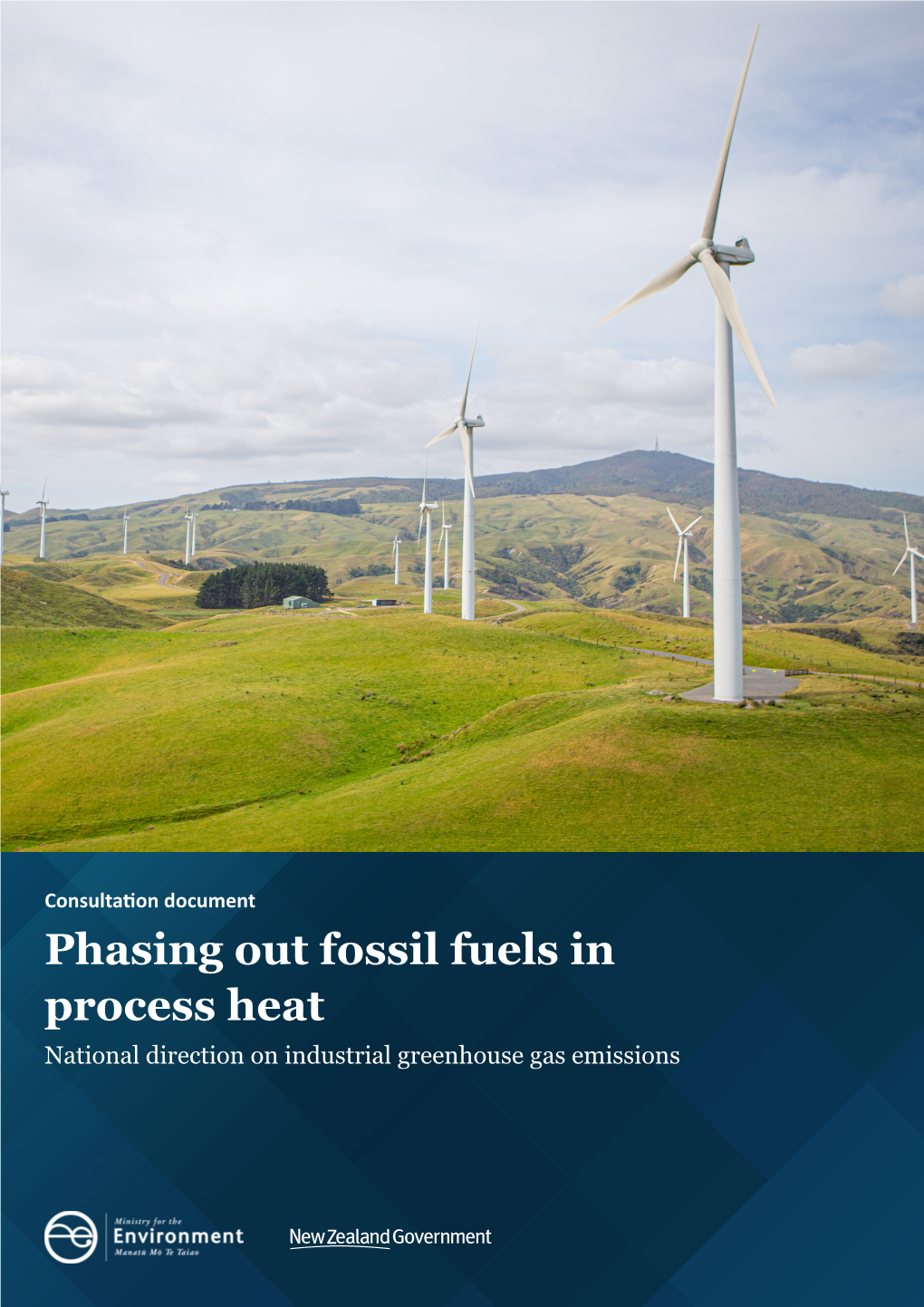 Phasing out Fossil Fuels in Process Heat National Direction on Industrial Greenhouse Gas Emissions