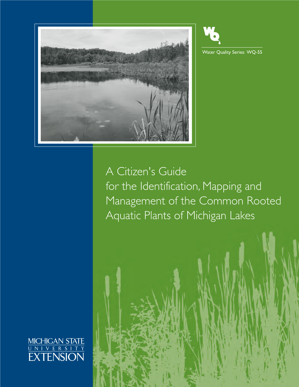A Citizen's Guide for the Identification, Mapping and Management of the Common Rooted Aquatic Plants of Michigan Lakes
