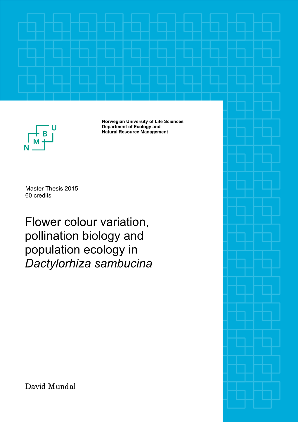 Flower Colour Variation, Pollination Biology and Population Ecology in Dactylorhiza Sambucina