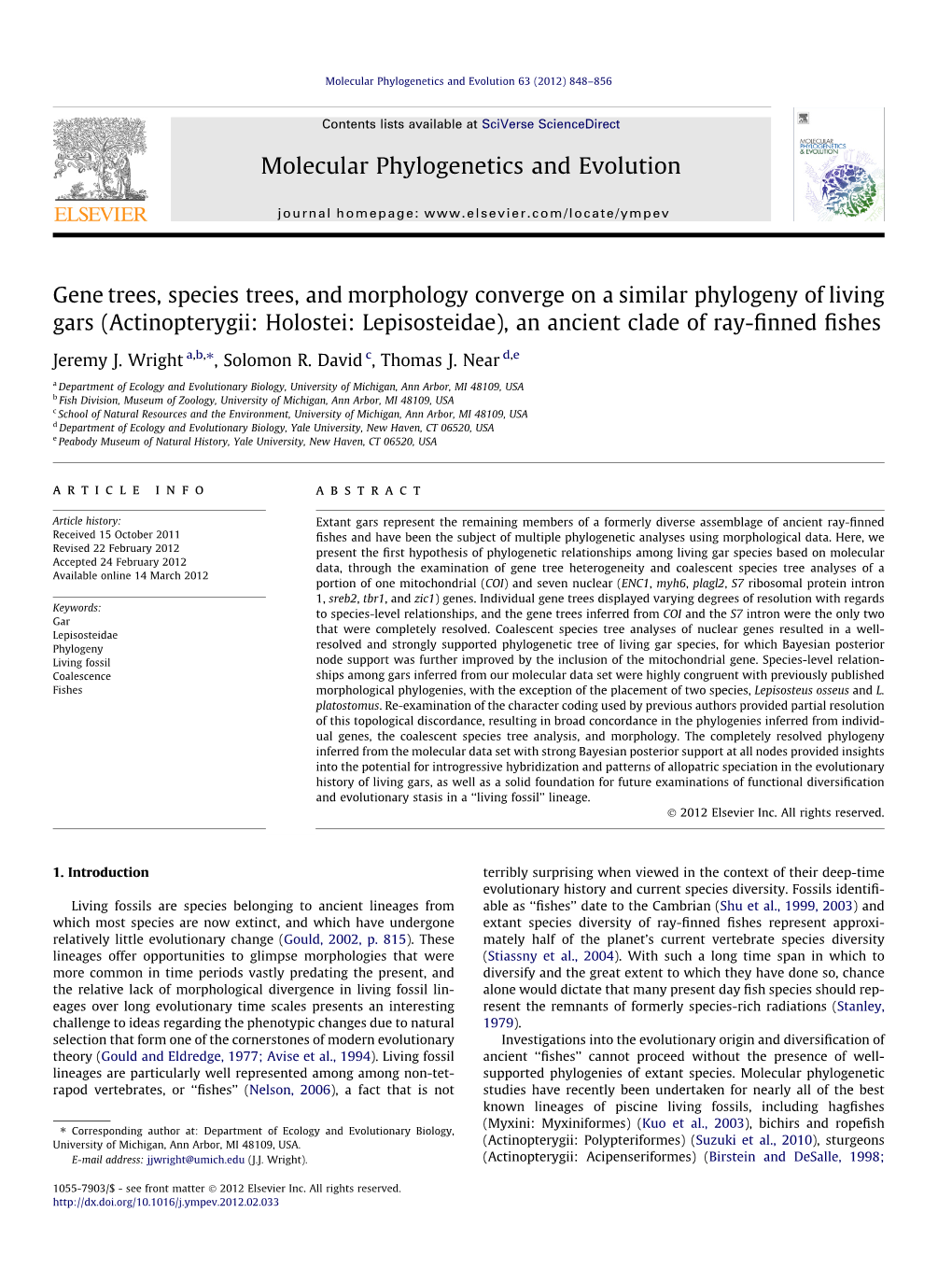 Gene Trees, Species Trees, and Morphology Converge on a Similar