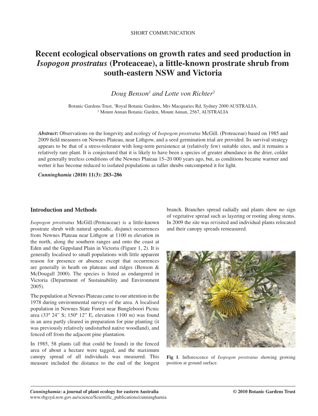 Recent Ecological Observations on Growth Rates and Seed Production In