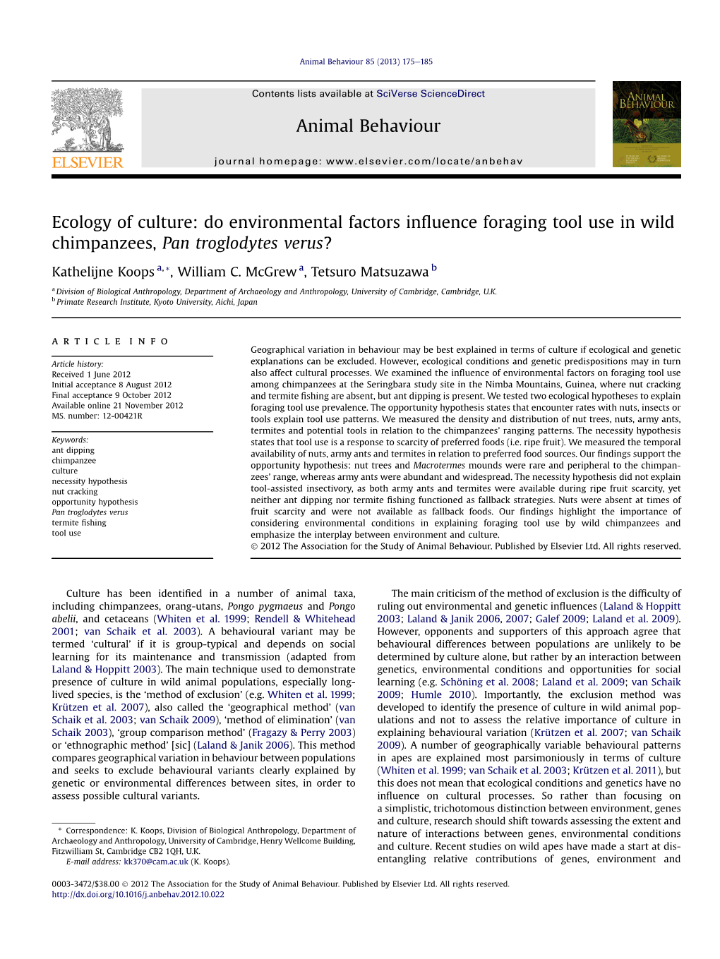 Do Environmental Factors Influence Foraging Tool