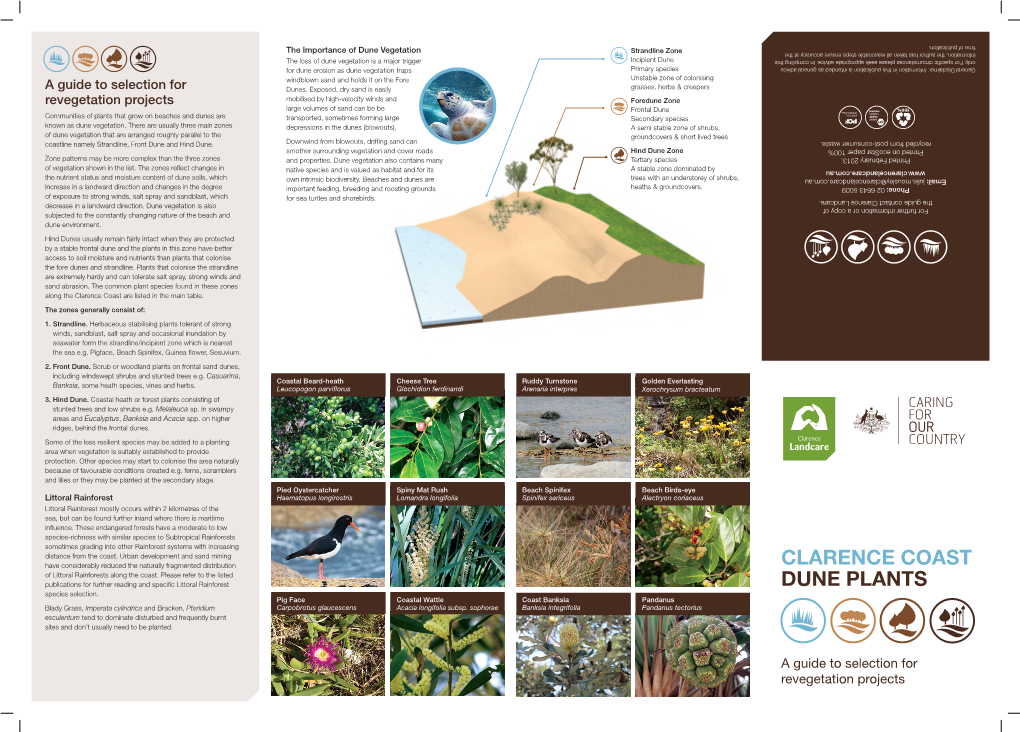 Clarence Coast Dune Plants - a Guide to Selection for Revegetation Projects, Clarence Landcare Inc., Grafton NSW & Australian Govt