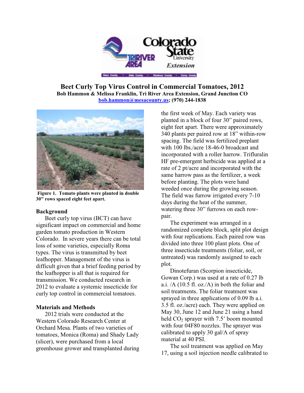 Beet Curly Top Virus Control in Commercial Tomatoes, 2012