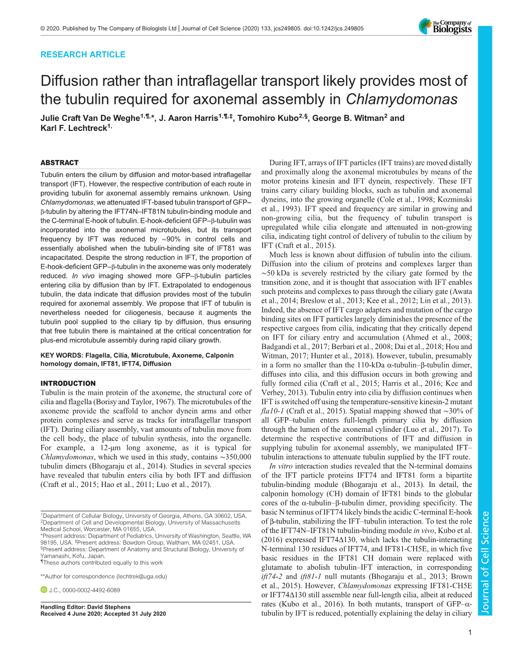 Diffusion Rather Than Intraflagellar Transport Likely Provides Most of the Tubulin Required for Axonemal Assembly in Chlamydomonas Julie Craft Van De Weghe1,¶,*, J