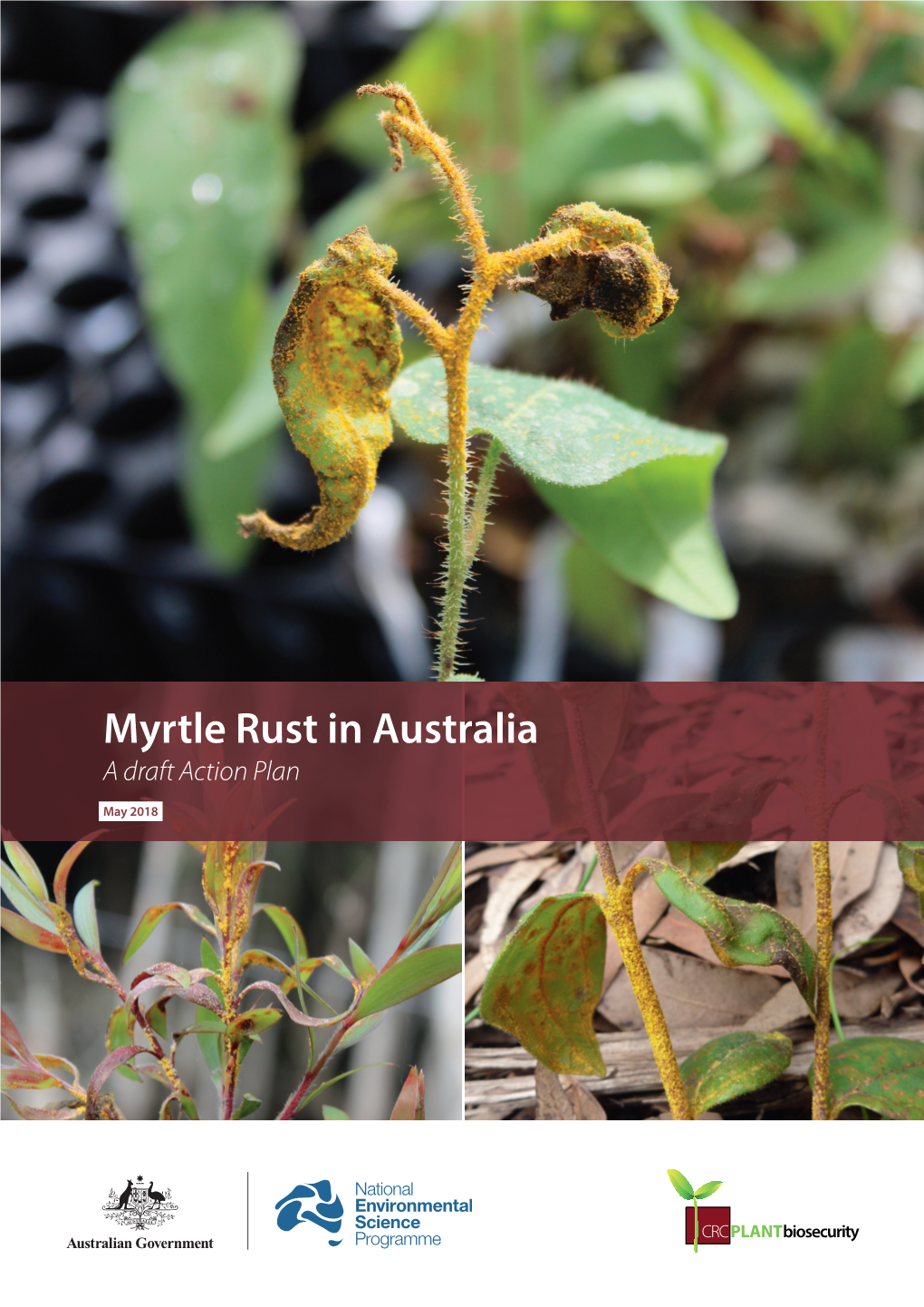 Draft Action Plan: Myrtle Rust in Australia