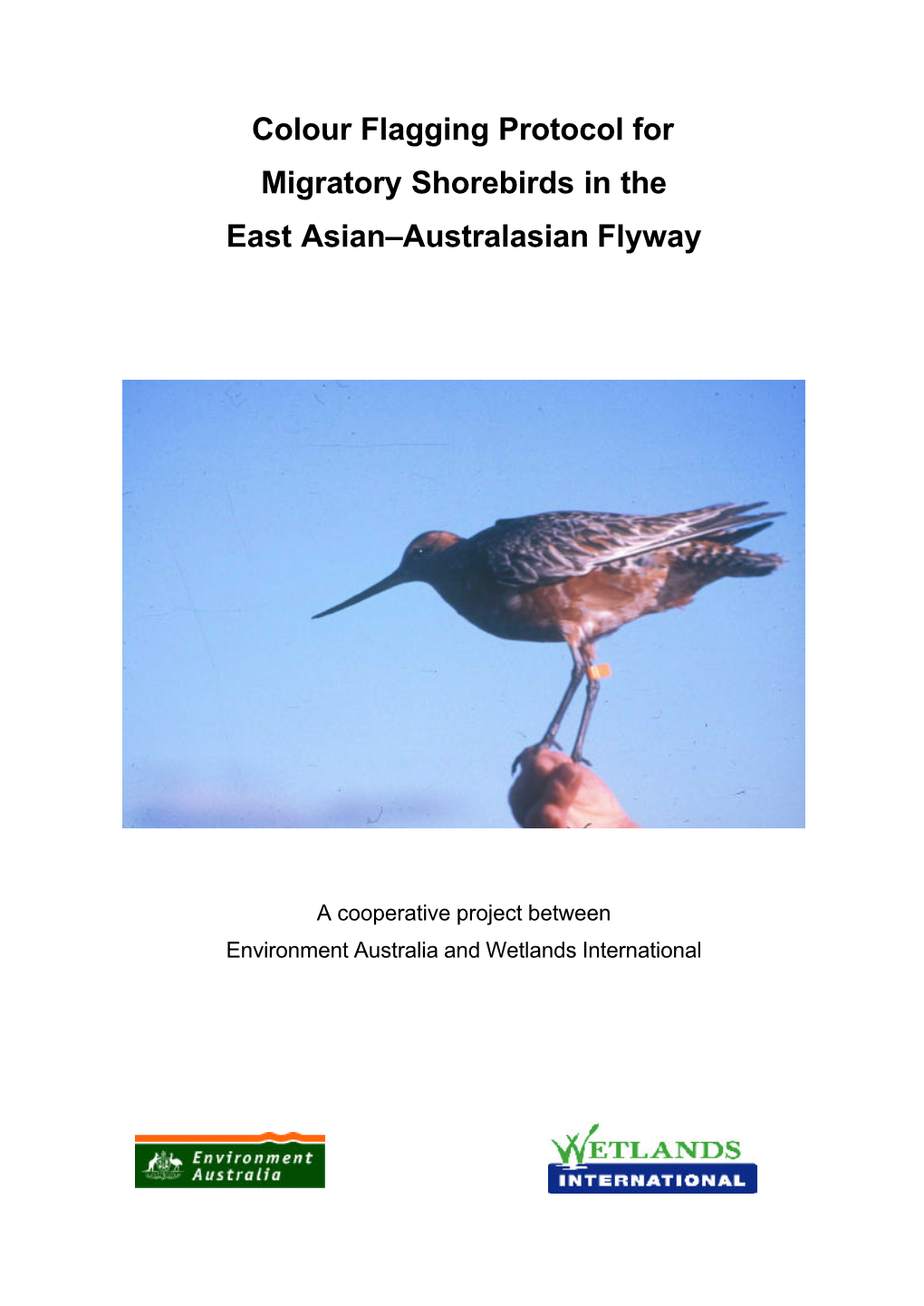 Colour Flagging Protocol for Migratory Shorebirds in the East Asian–Australasian Flyway