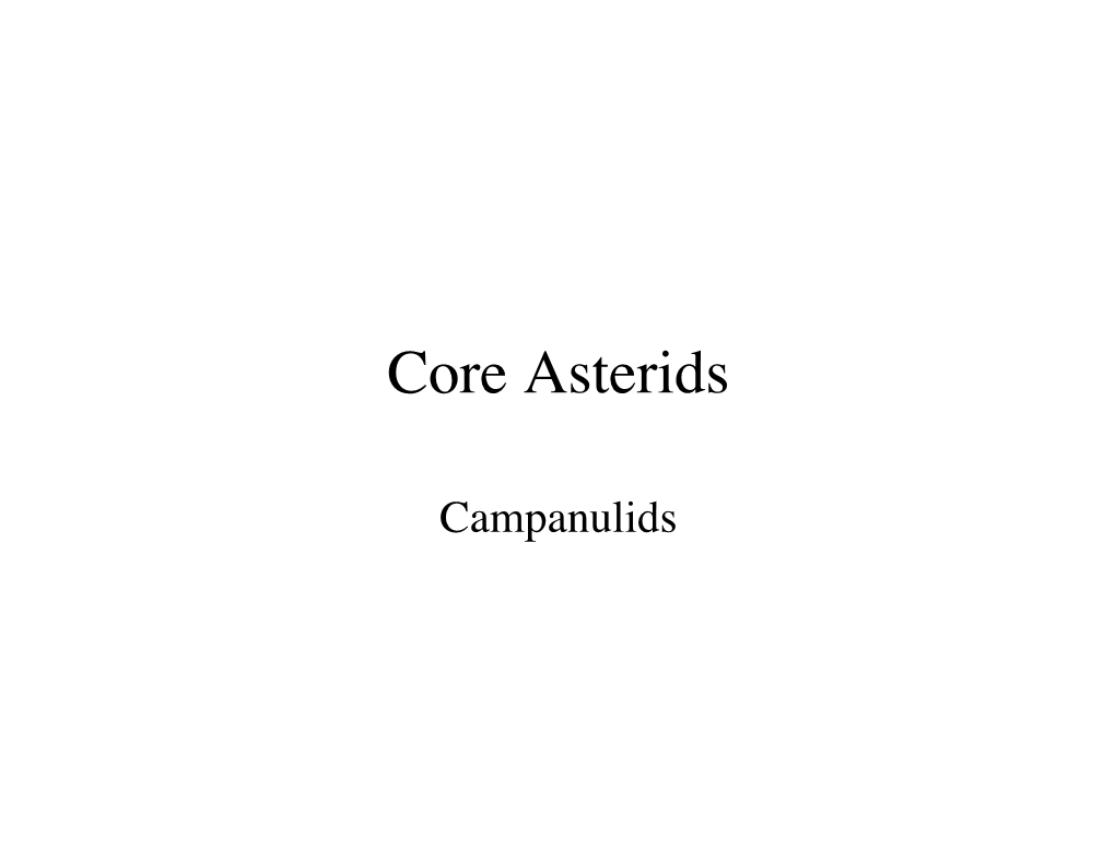 Core Asterids!