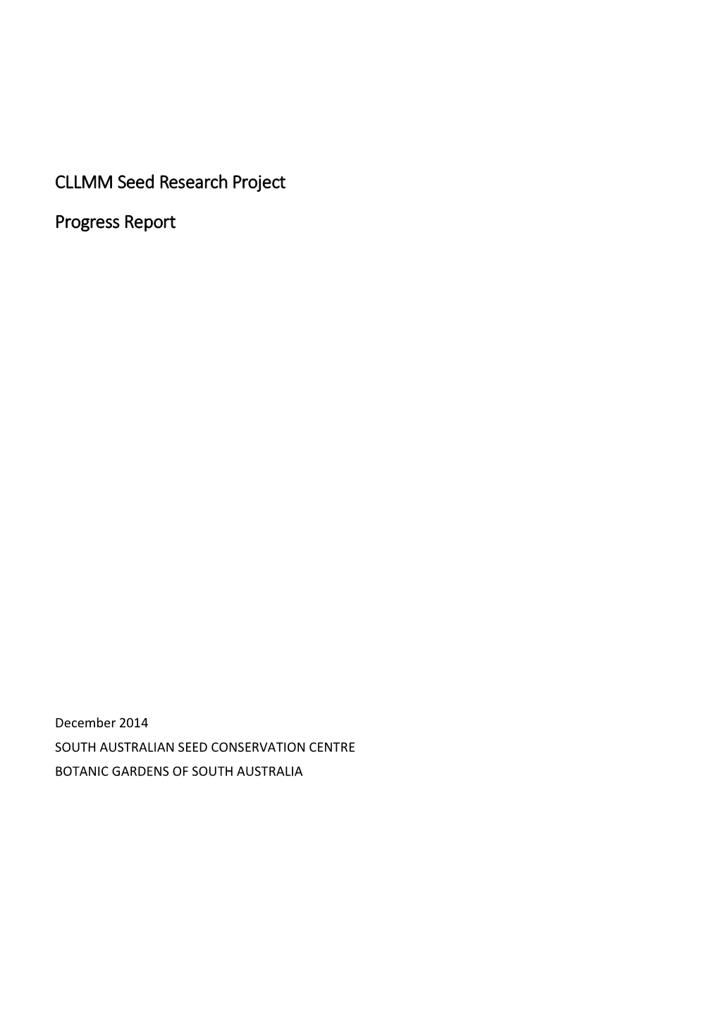 CLLMM Seed Research Project Progress Report
