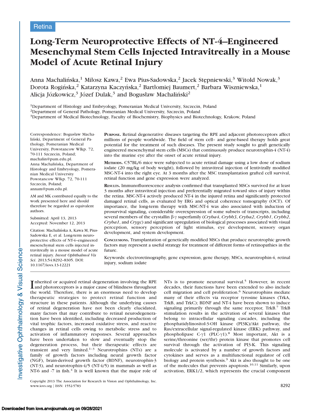 Long-Term Neuroprotective Effects of NT-4–Engineered Mesenchymal Stem Cells Injected Intravitreally in a Mouse Model of Acute Retinal Injury