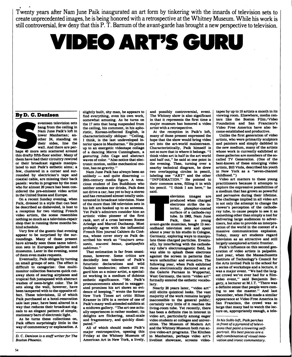 Video Art's Guru