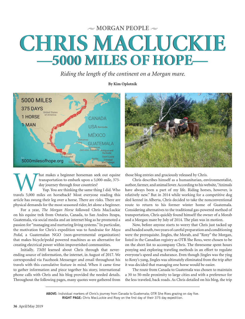 CHRIS MACLUCKIE ­­—5000 MILES of HOPE— Riding the Length of the Continent on a Morgan Mare