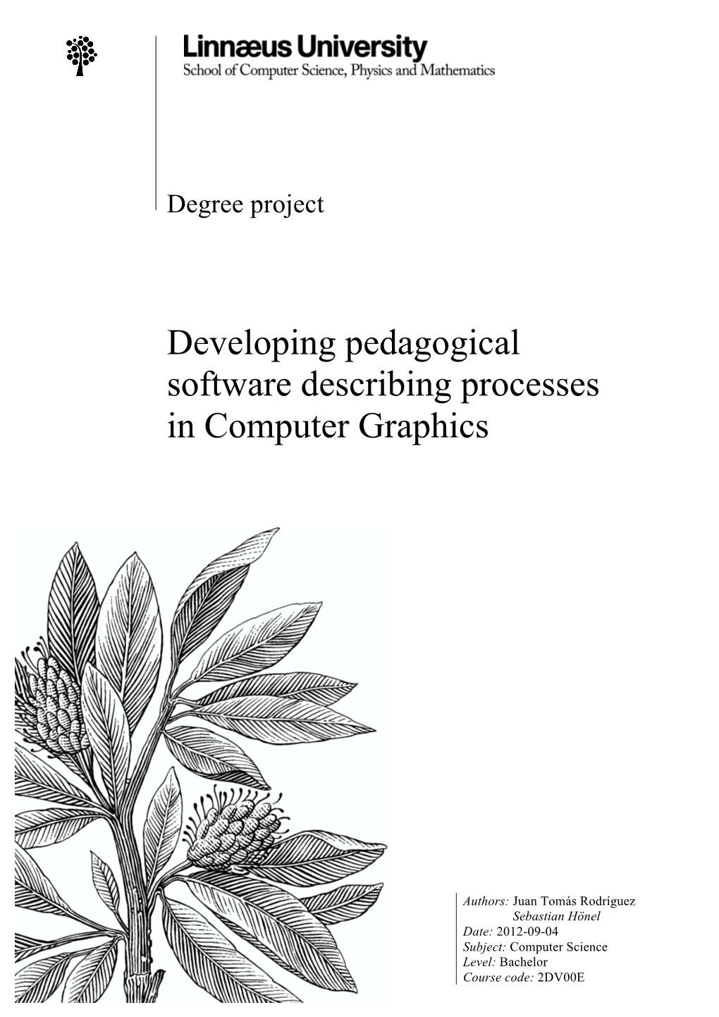 Developing Pedagogical Software Describing Processes in Computer Graphics