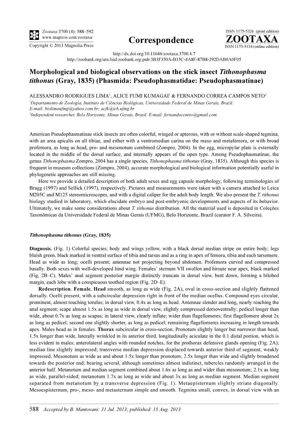 Morphological and Biological Observations on the Stick Insect Tithonophasma Tithonus (Gray, 1835) (Phasmida: Pseudophasmatidae: Pseudophasmatinae)