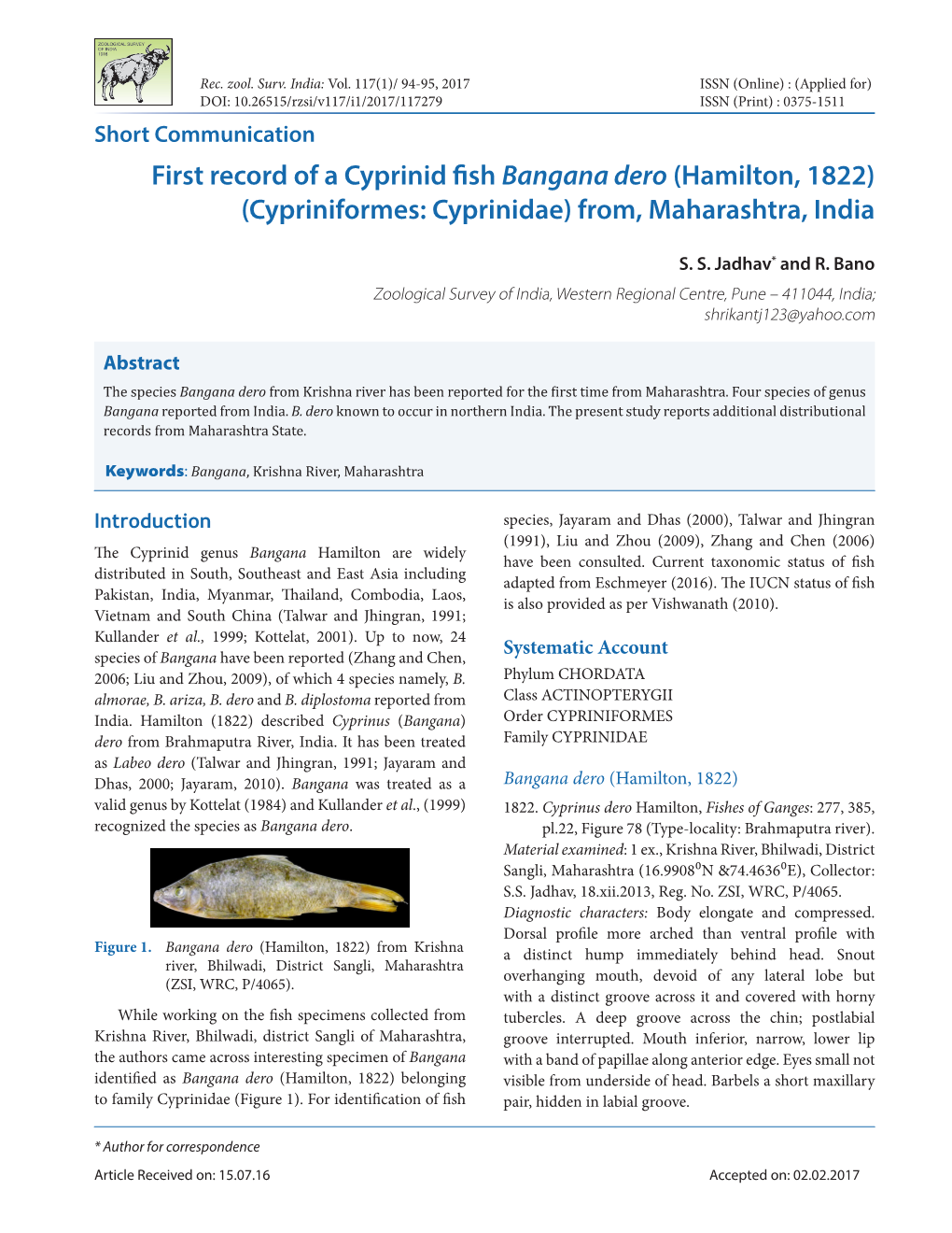 First Record of a Cyprinid Fish Bangana Dero (Hamilton, 1822