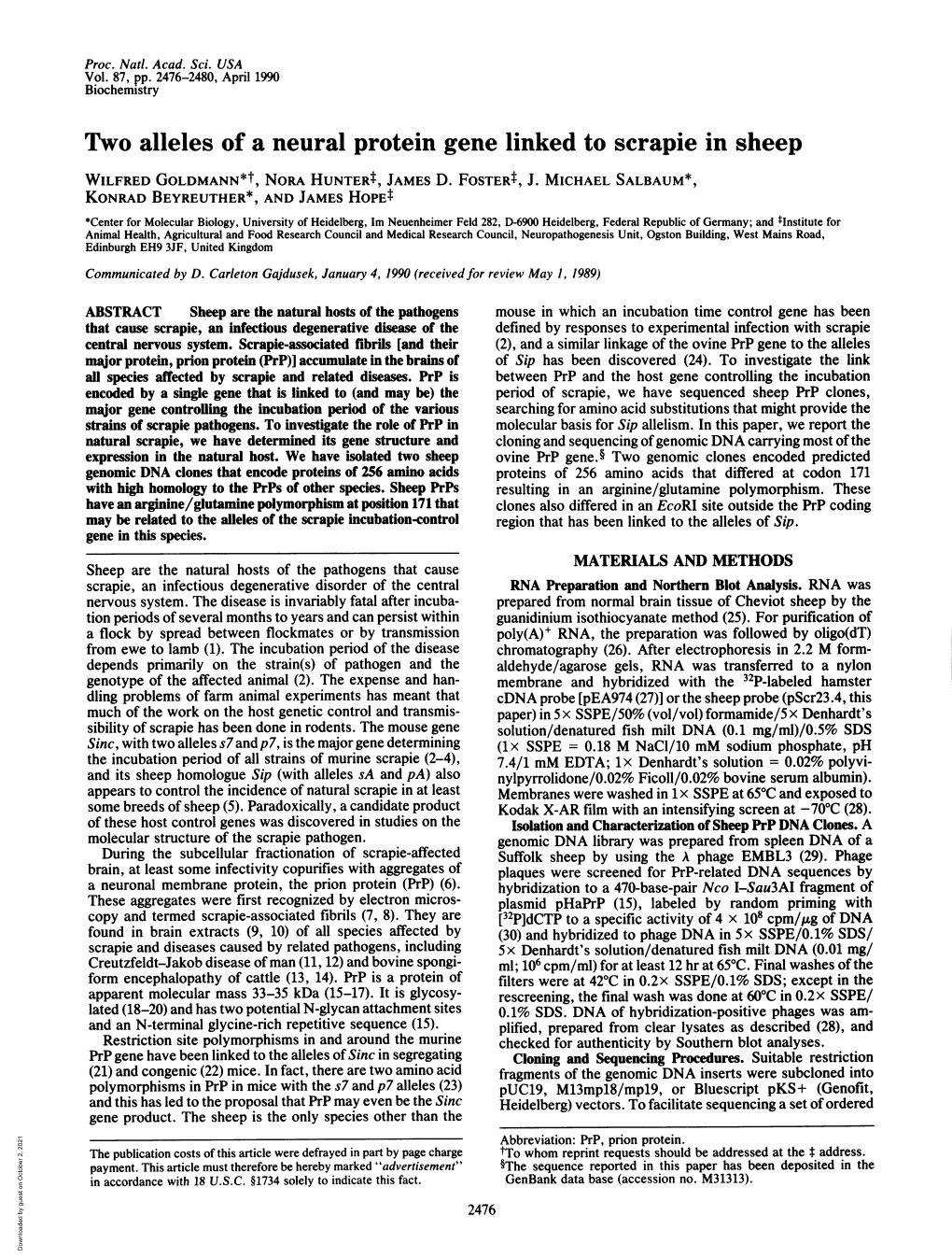 Two Alleles of a Neural Protein Gene Linked to Scrapie in Sheep WILFRED GOLDMANN*T, NORA Huntert, JAMES D