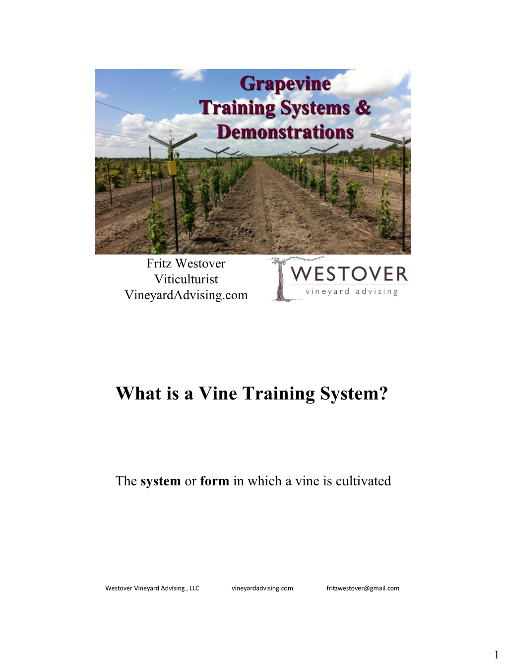 What Is a Vine Training System?