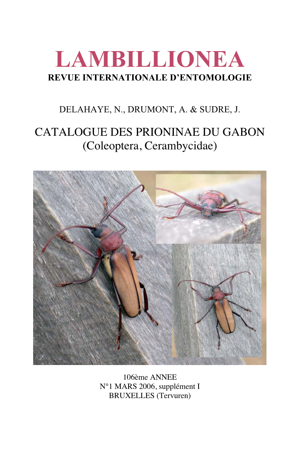 Lambillionea Revue Internationale D’Entomologie