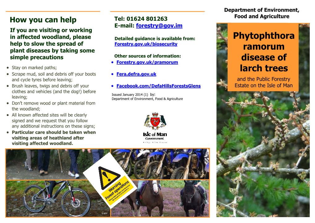 Phytophthora Ramorum Disease of Larch Trees