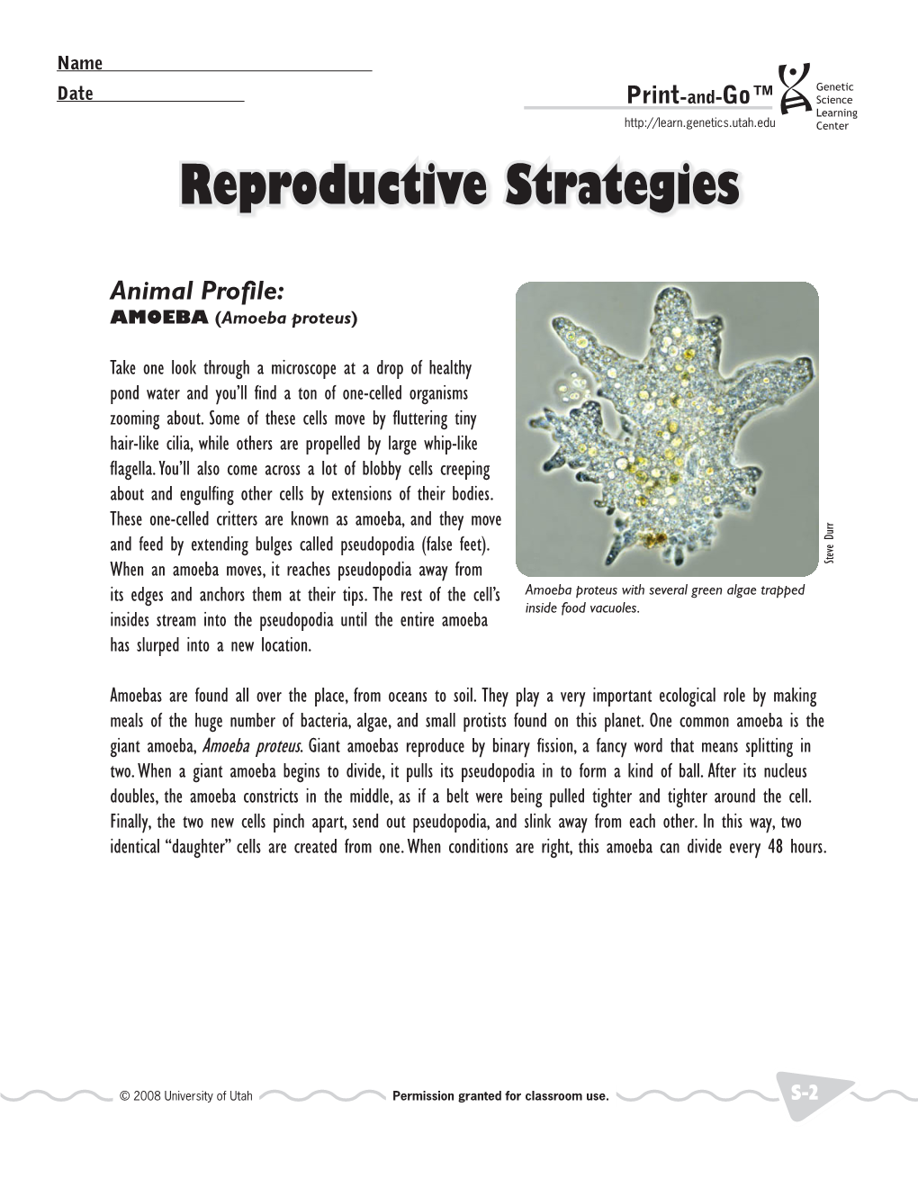 Reproductive Strategies