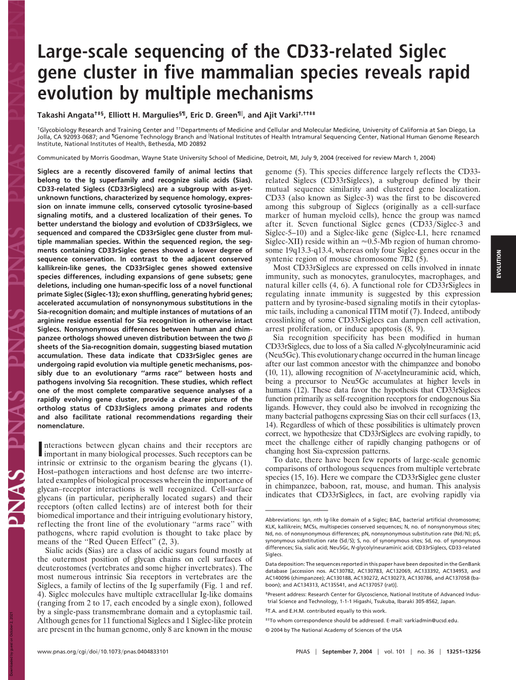 Large-Scale Sequencing of the CD33-Related Siglec Gene Cluster in Five Mammalian Species Reveals Rapid Evolution by Multiple Mechanisms