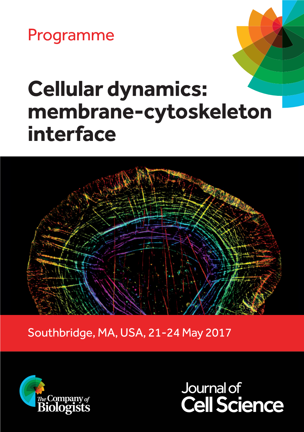 Cellular Dynamics: Membrane-Cytoskeleton Interface