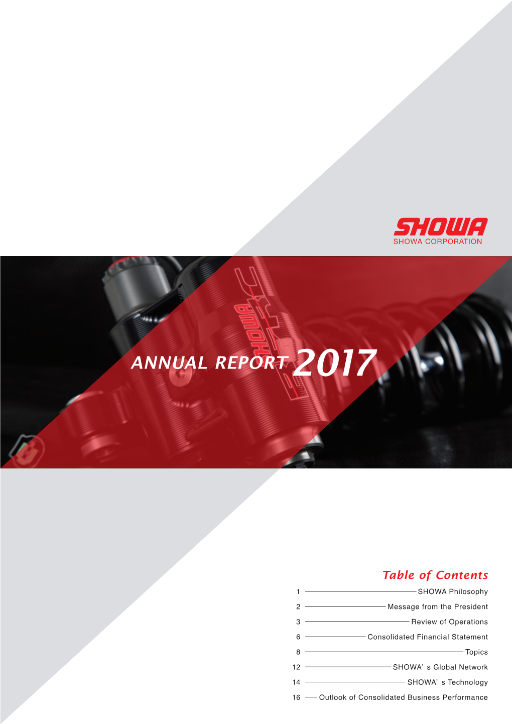 Annual Report 2017