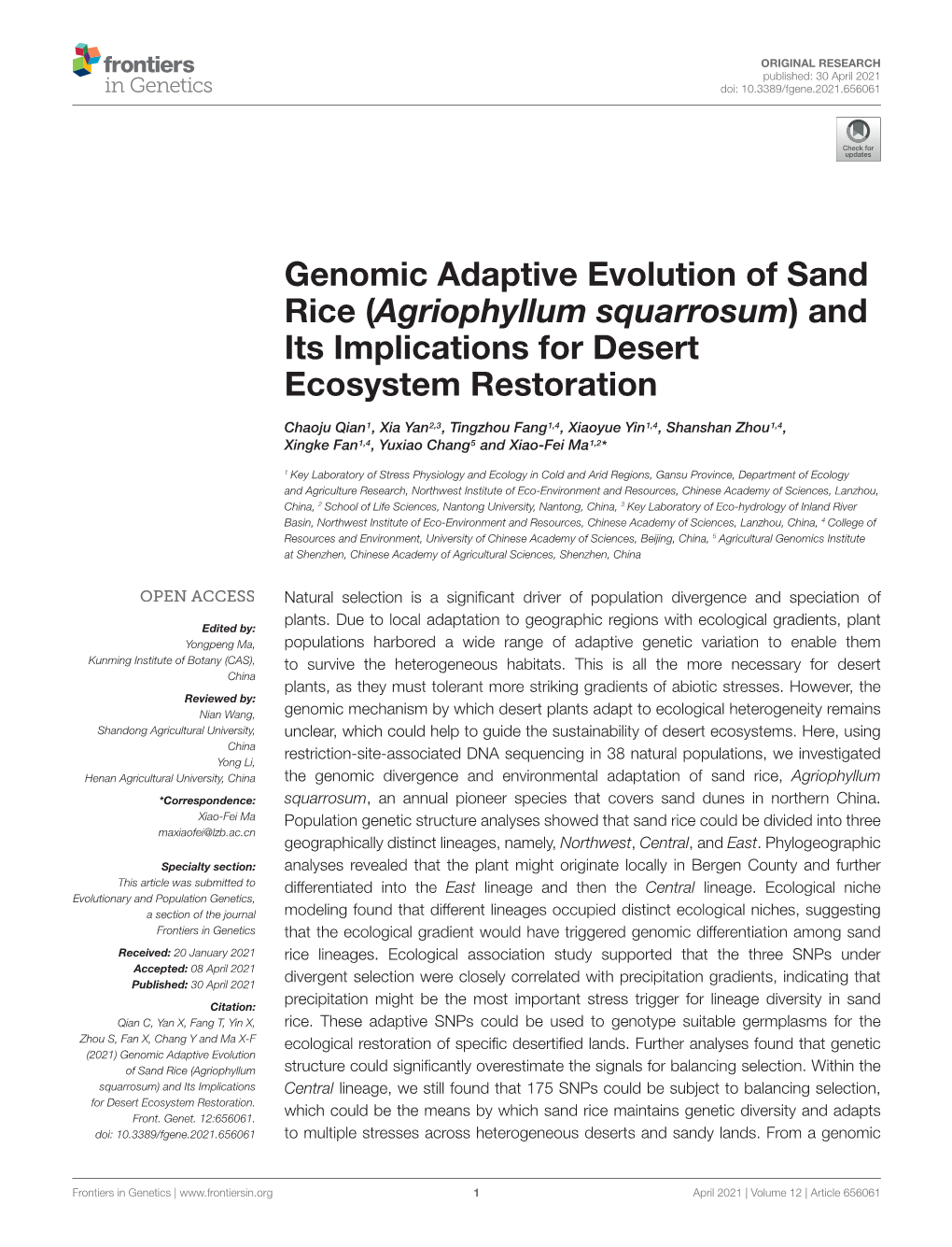 Agriophyllum Squarrosum) and Its Implications for Desert Ecosystem Restoration