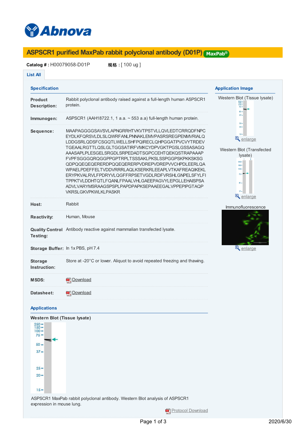 ASPSCR1 Purified Maxpab Rabbit Polyclonal Antibody (D01P)