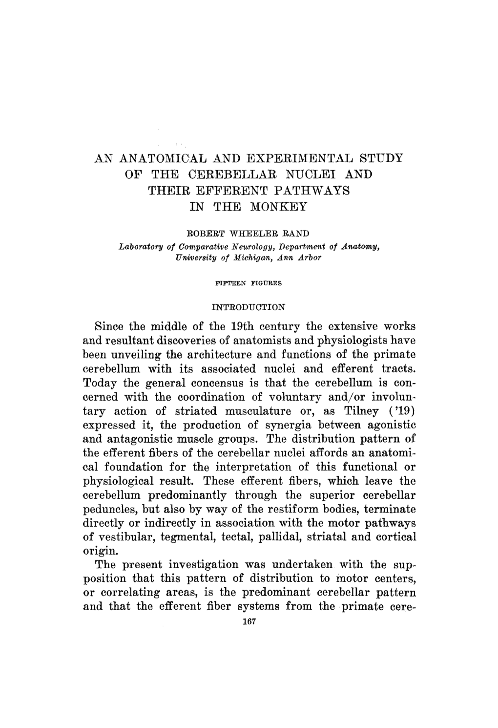 An Anatomical and Experimental Study of the Cerebellar Nuclei and Their Efferent Pathways in the Monkey