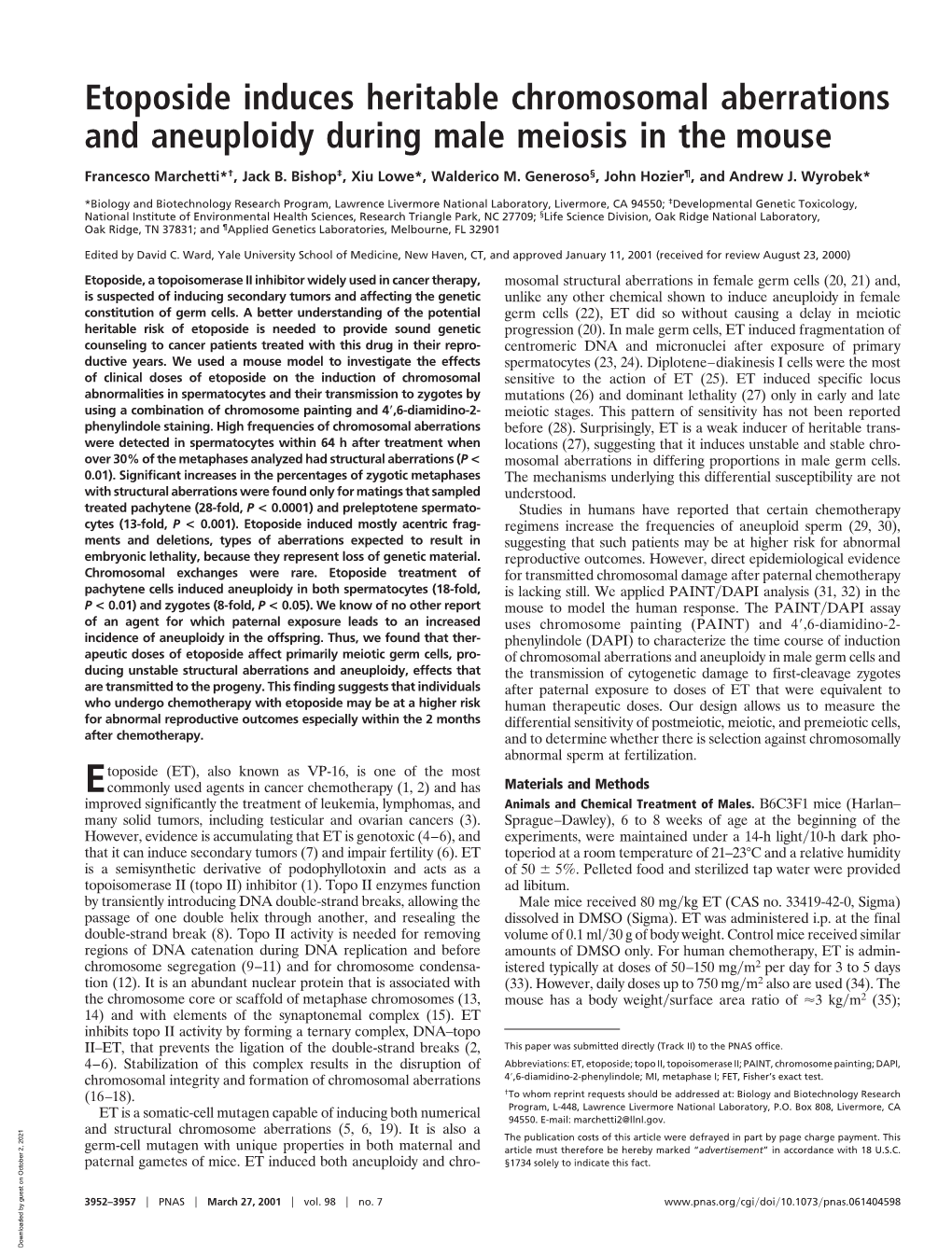 Etoposide Induces Heritable Chromosomal Aberrations and Aneuploidy During Male Meiosis in the Mouse