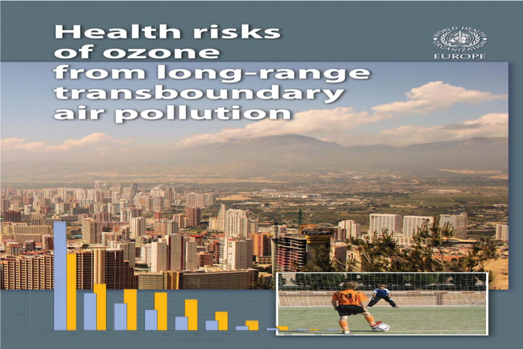 Health Risks of Ozone from Long-Range Transboundary Air Pollution