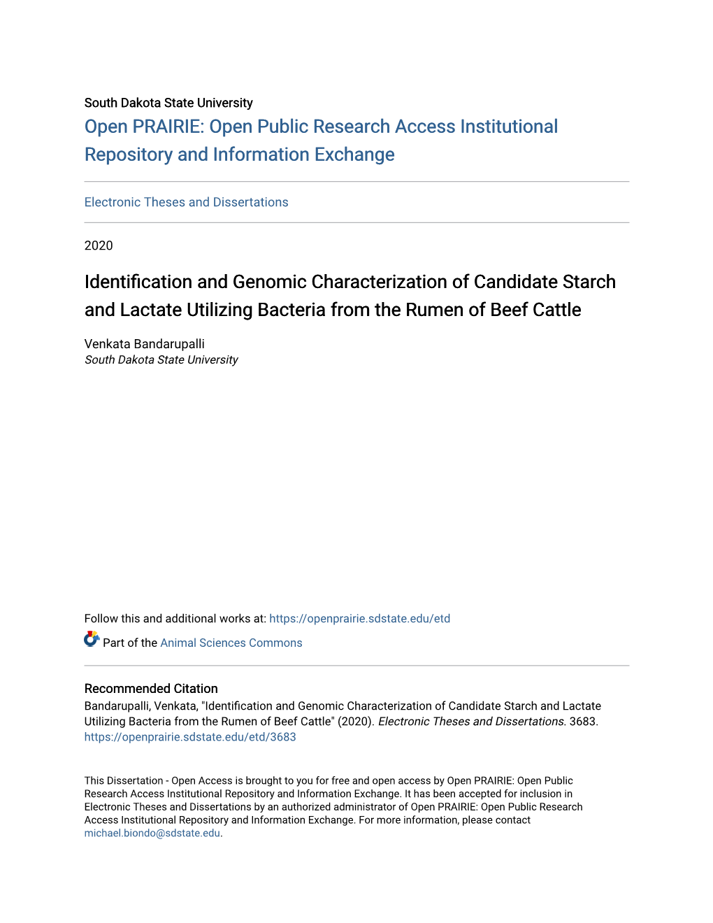 Identification and Genomic Characterization of Candidate Starch and Lactate Utilizing Bacteria from the Rumen of Beef Cattle