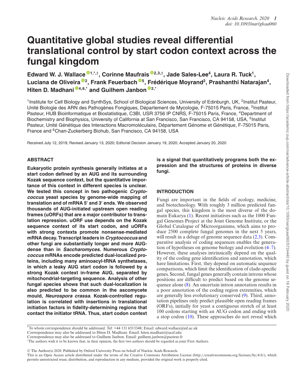 Quantitative Global Studies Reveal Differential Translational Control by Start Codon Context Across the Fungal Kingdom