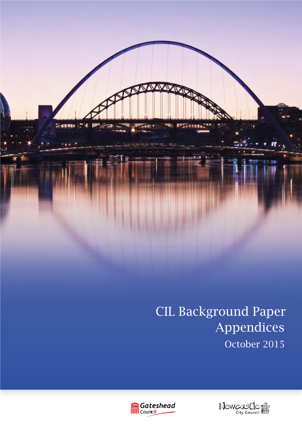 CIL Background Paper Appendices