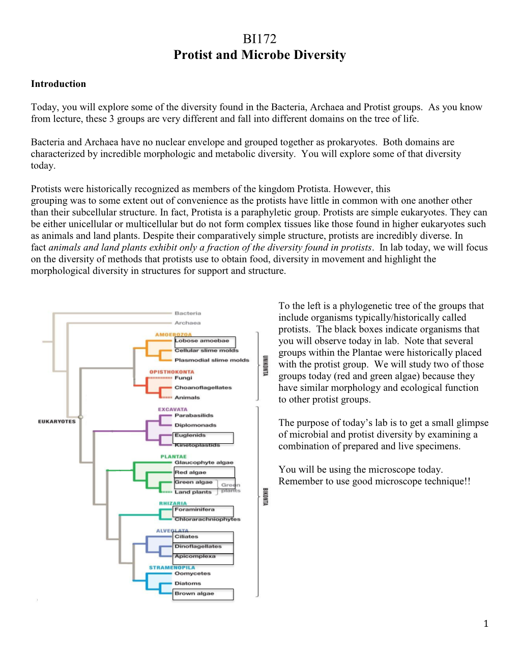 BI172 Protist and Microbe Diversity