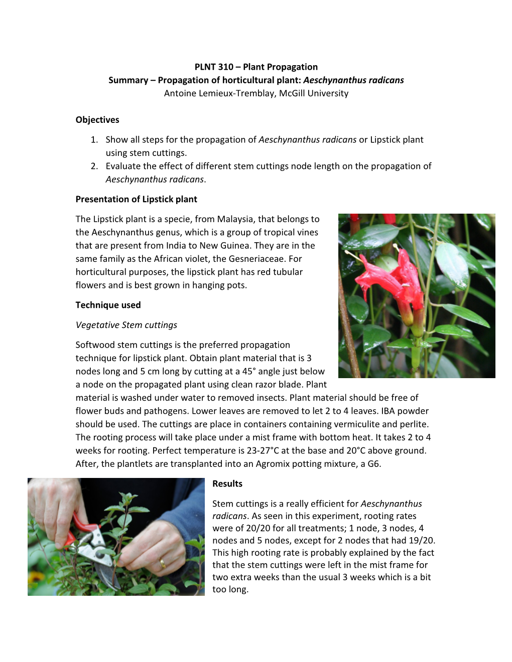 PLNT 310 – Plant Propagation Summary – Propagation of Horticultural Plant: Aeschynanthus Radicans Antoine Lemieux-Tremblay, Mcgill University