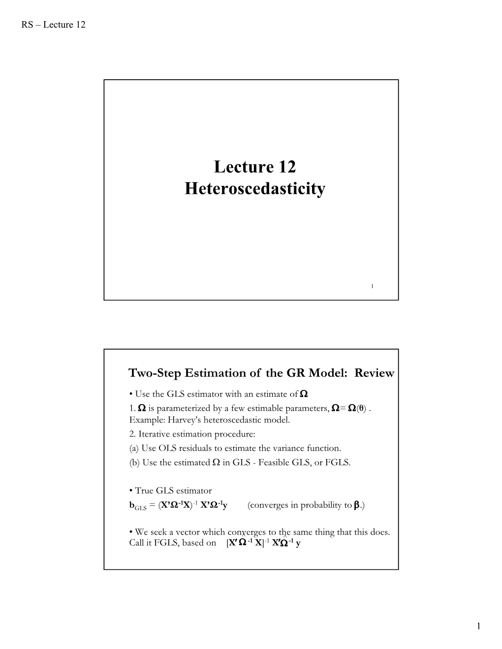 Lecture 12 Heteroscedasticity