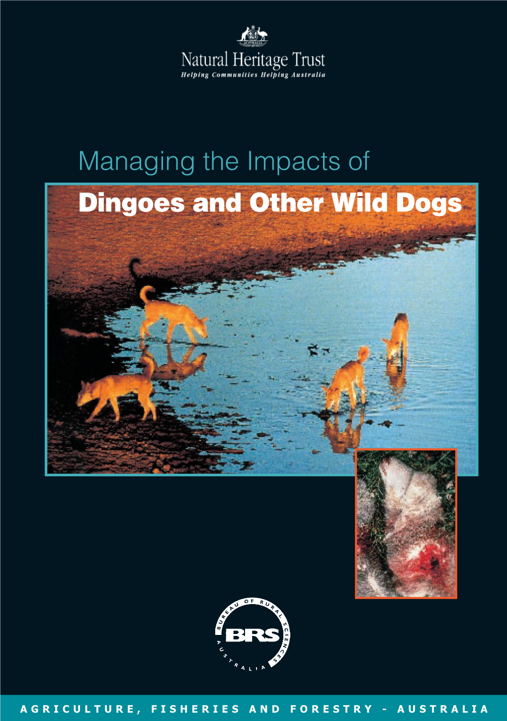 Managing the Impacts of Dingoes and Other Wild Dogs