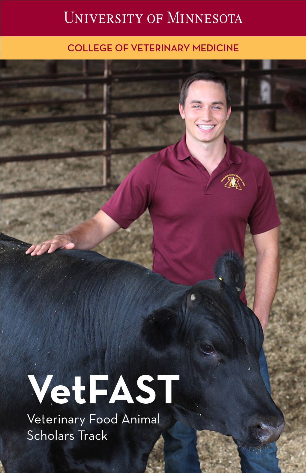 Vetfast Veterinary Food Animal Scholars Track VETFAST