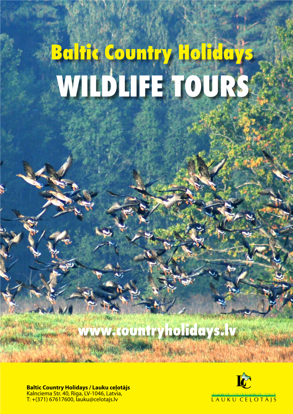 Wildlife Tours