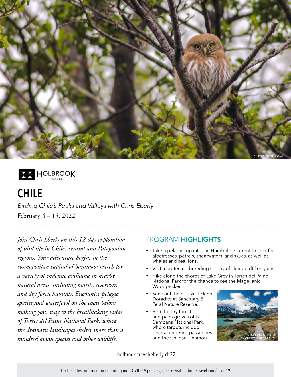 February 4 – 15, 2022 Join Chris Eberly on This 12-Day Exploration of Bird Life in Chile's Central and Patagonian Regions. Y