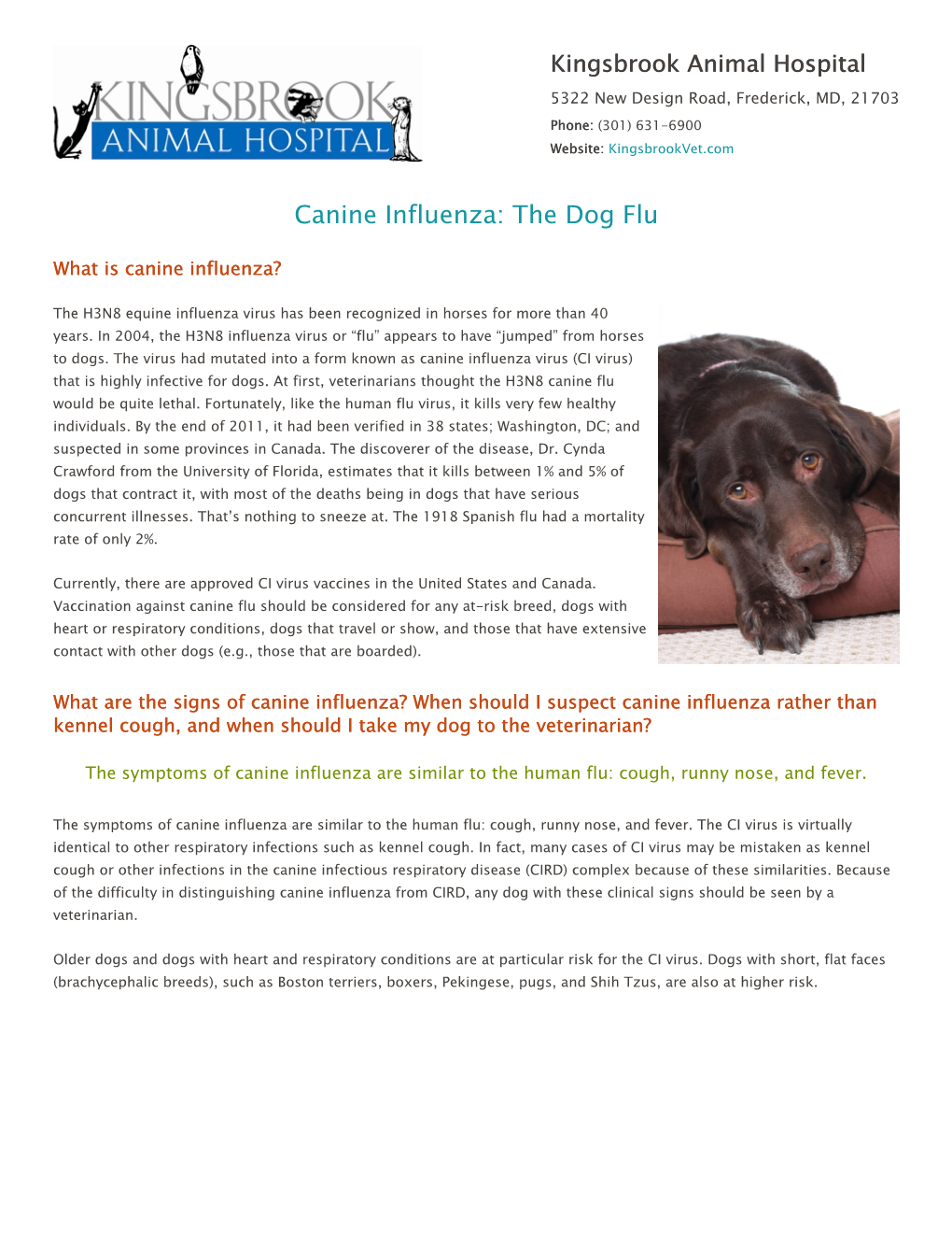 Canine Influenza: the Dog Flu