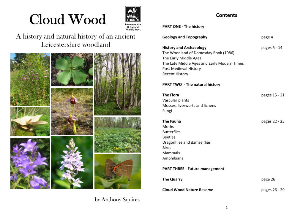 Cloud Wood PART ONE - the History