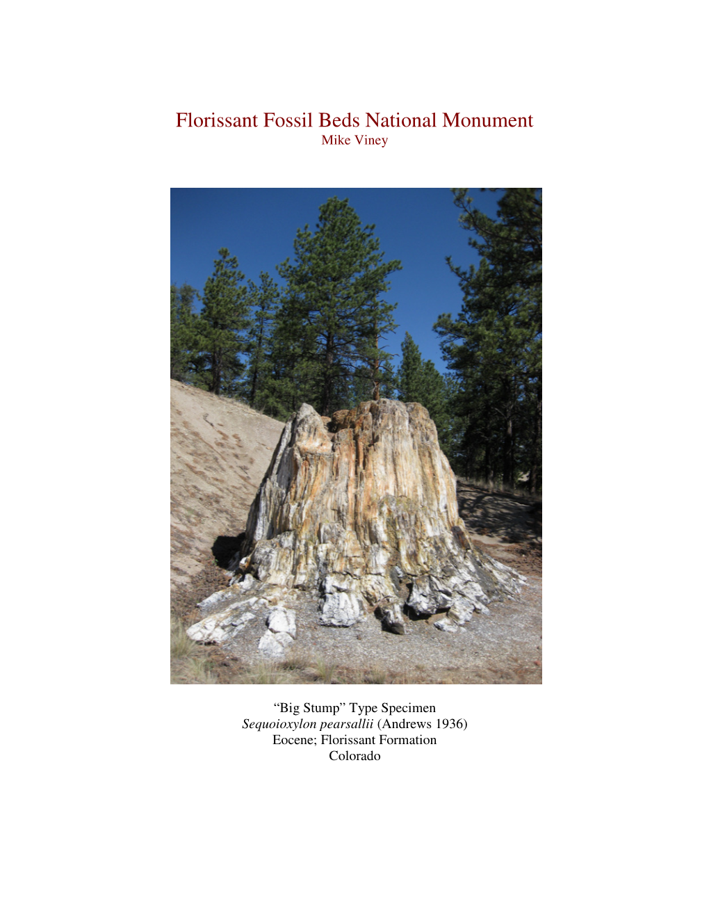 Florissant Fossil Beds National Monument Mike Viney