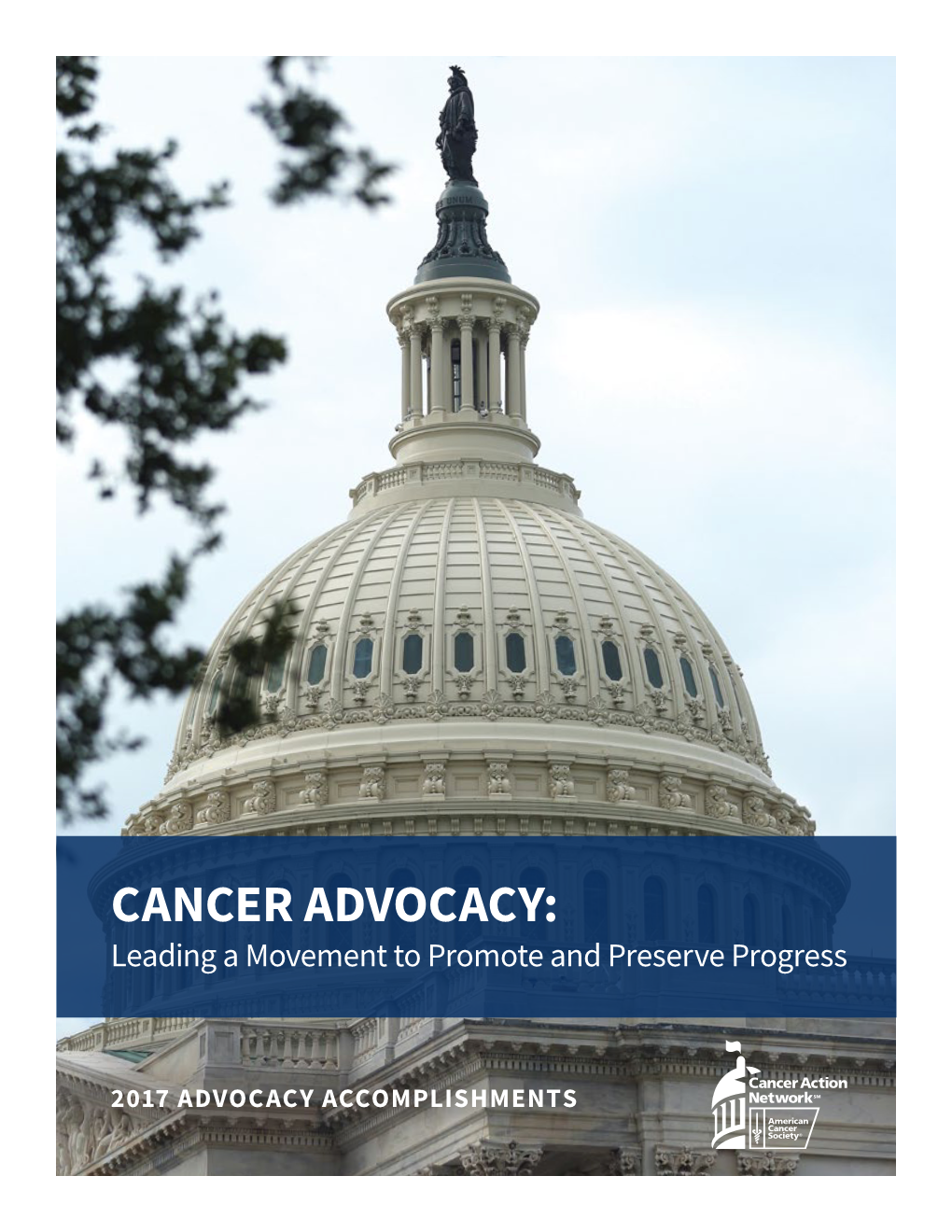 American Cancer Society Cancer Action Network 2017 Advocacy Accomplishments