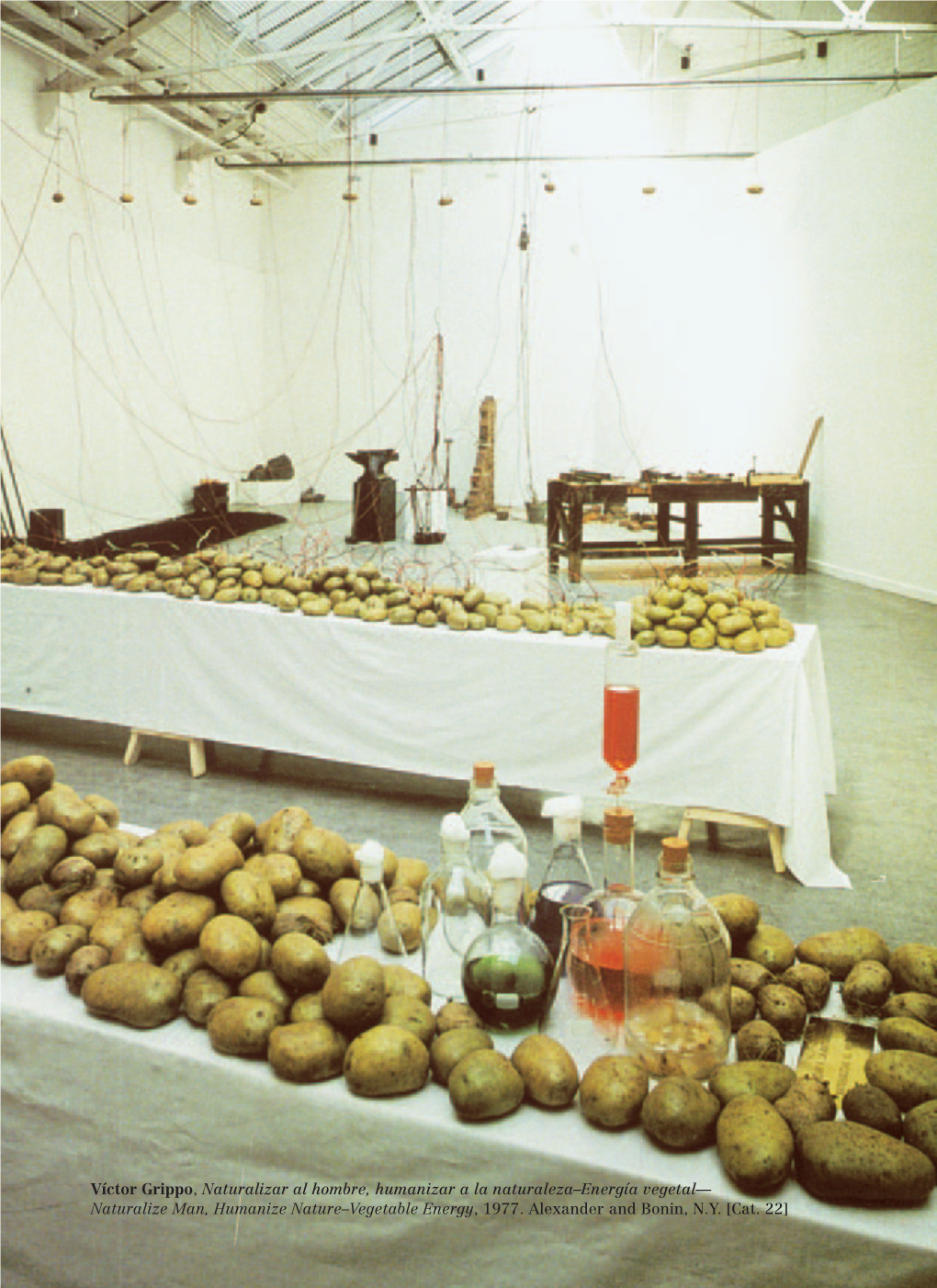 Víctor Grippo, Naturalizar Al Hombre, Humanizar a La Naturaleza–Energía Vegetal— Naturalize Man, Humanize Nature–Vegetable Energy, 1977