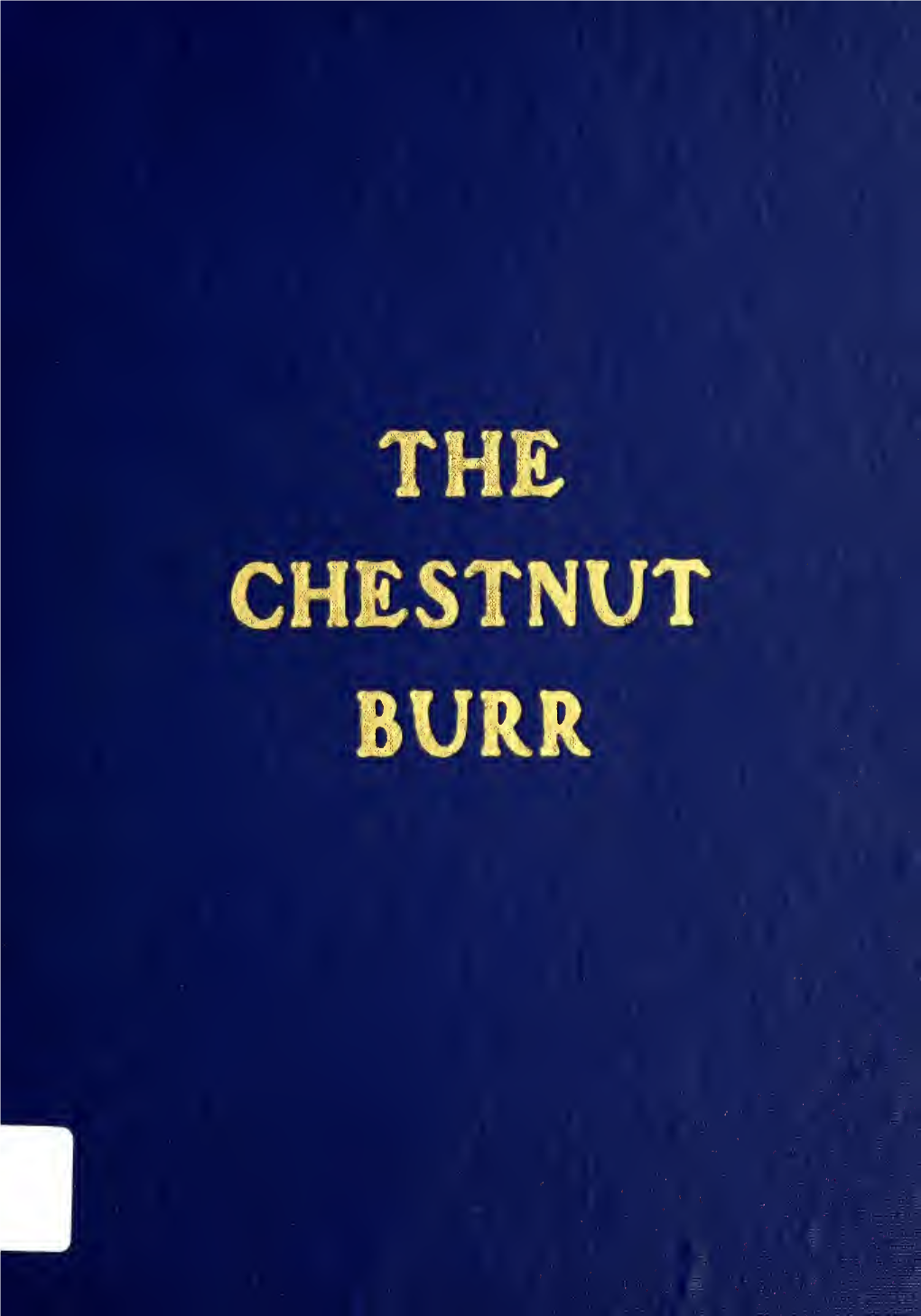 Chestnut Burr, 1915