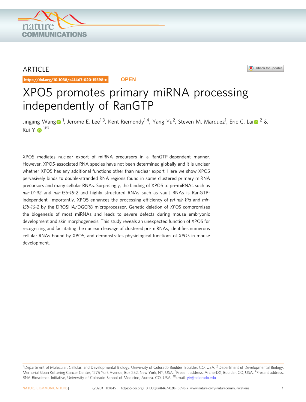 XPO5 Promotes Primary Mirna Processing Independently of Rangtp